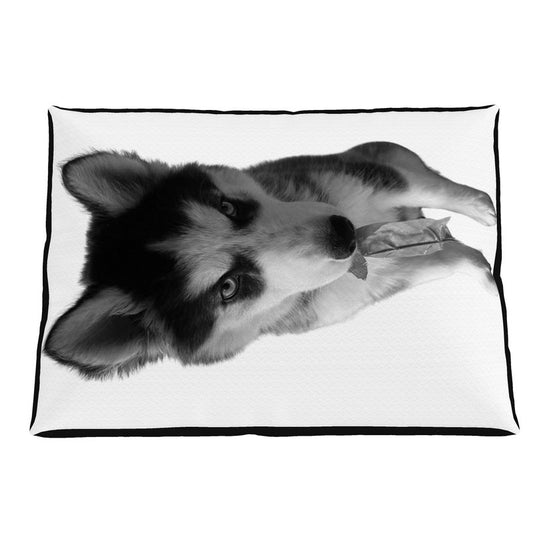 Lone Wolfsky™️ Non gioco a finta | Cuccia per animali domestici (bianco/nero)